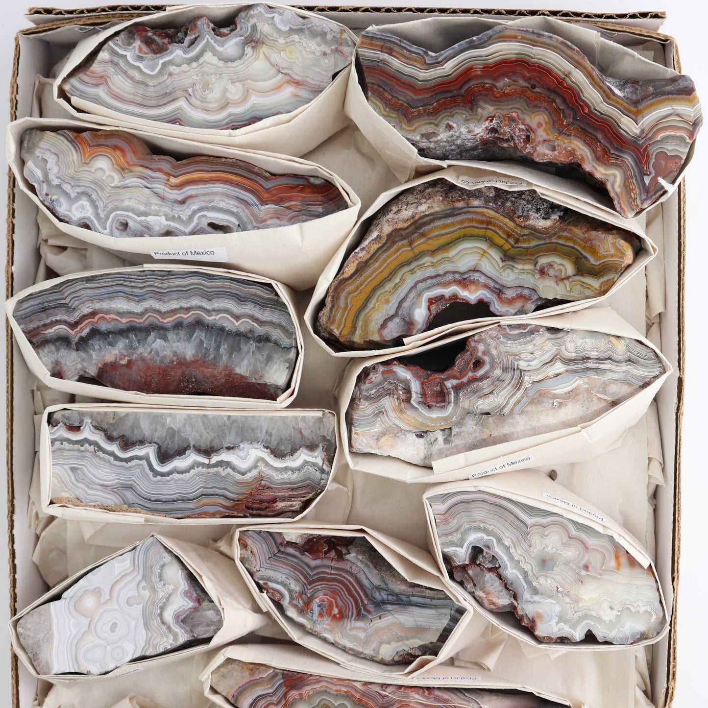 Crazy Lace Agate Flat of 13
