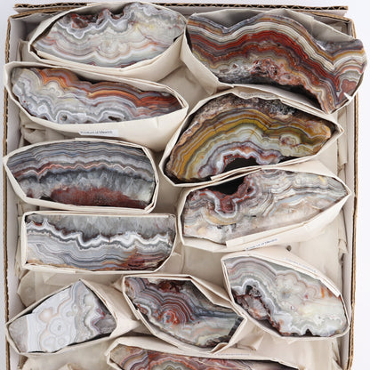 Crazy Lace Agate Flat of 13