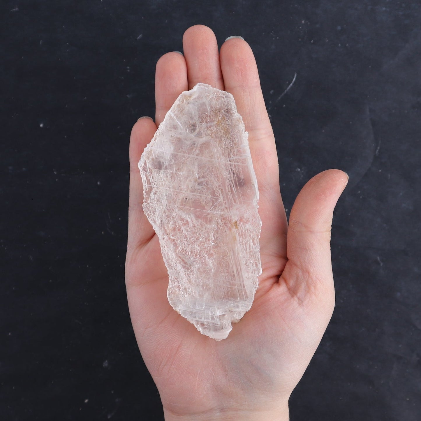 Selenite from Chihuahua Set of 8