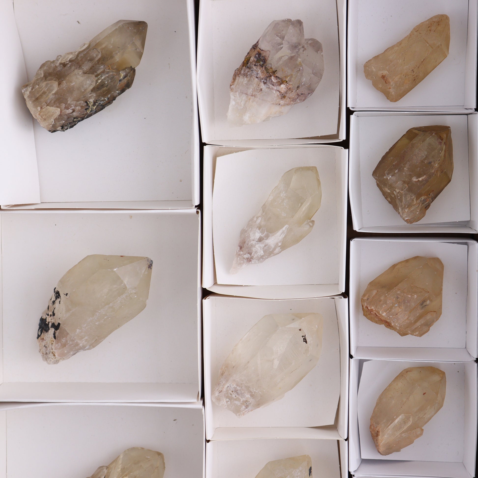 Congo Citrine Set of 12 - Expert Wholesale and Supplier of Wholesale Crystals & Bulk Gemstones, ["Citrine","Congo","Rough","Roughs"]