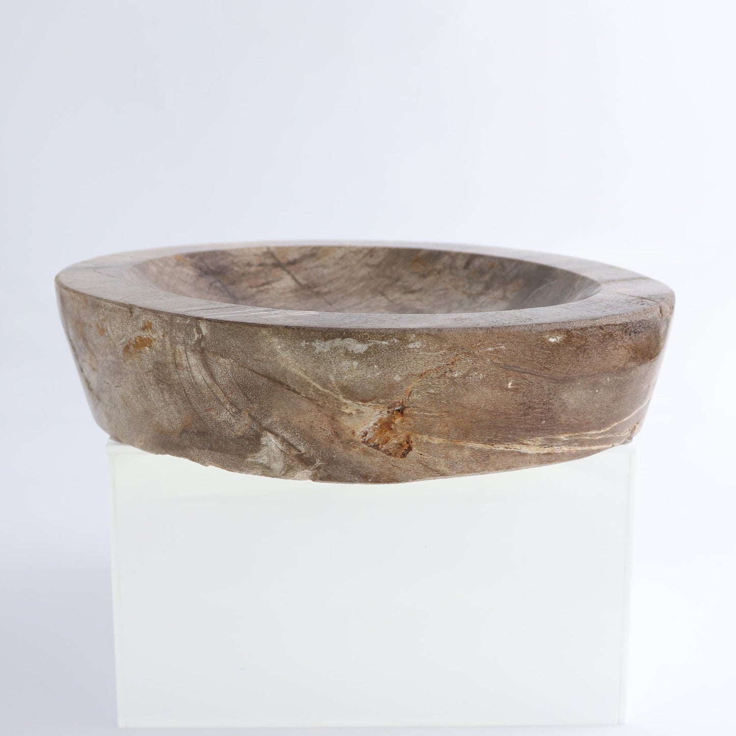 One Large Petrified Wood Brown Polished Bowl
