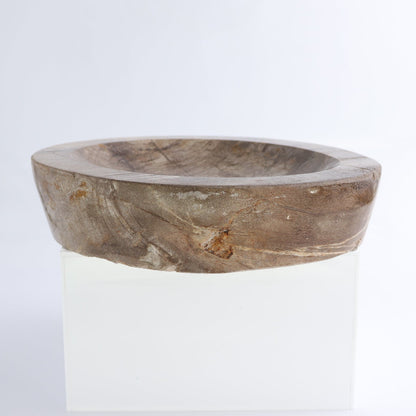 One Large Petrified Wood Brown Polished Bowl