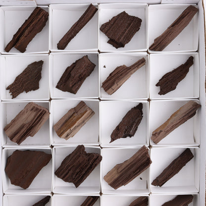 Permineralized Wood Flat of 24 - Expert Wholesale and Supplier of Wholesale Crystals & Bulk Gemstones, ["Flats","Germany","Permineralized Wood"]