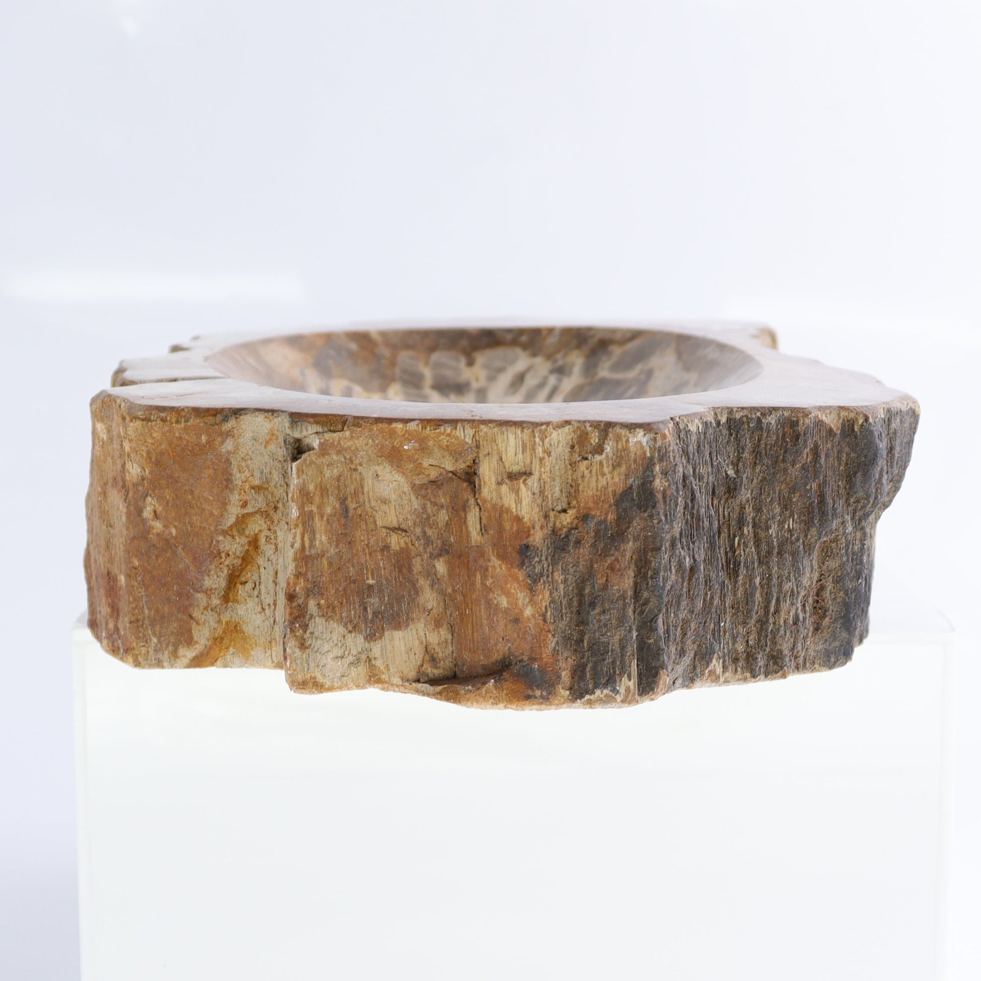 Petrified Wood Bowls Set of 2 - Expert Wholesale and Supplier of Wholesale Crystals & Bulk Gemstones, ["Bowls","Indonesia","Petrified Wood"]