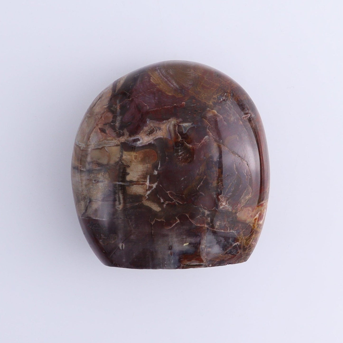 Petrified Wood Freeforms Set of 5 - Expert Wholesale and Supplier of Wholesale Crystals & Bulk Gemstones, ["Freeform","Freeforms","Madagascar","Petrified Wood"]
