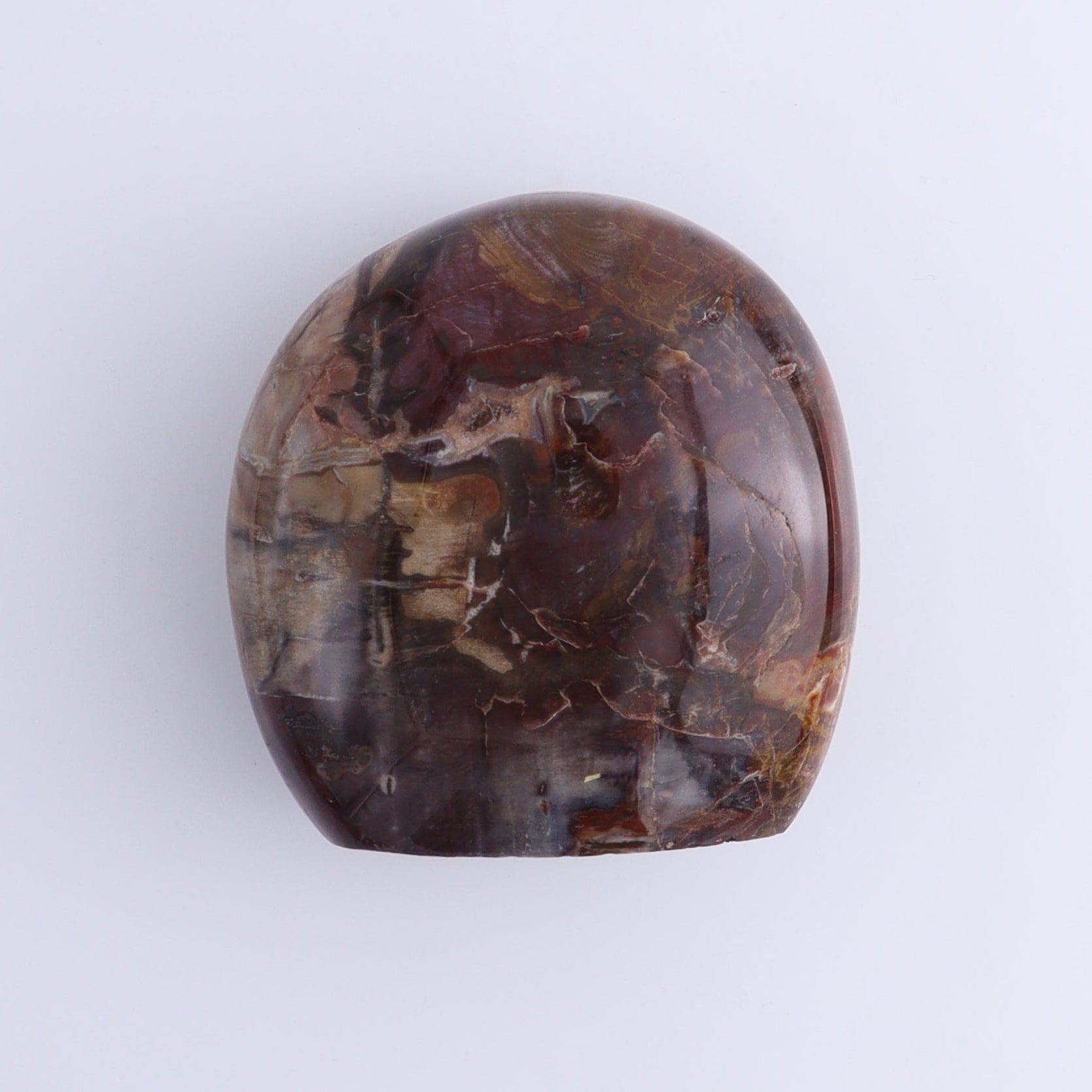 Petrified Wood Freeforms Set of 5 - Expert Wholesale and Supplier of Wholesale Crystals & Bulk Gemstones, ["Freeform","Freeforms","Madagascar","Petrified Wood"]