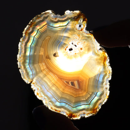 Iris Agate Slices Set of 7 - Expert Wholesale and Supplier of Wholesale Crystals & Bulk Gemstones, ["Agate","Iris Agate","Slices and Slabs"]