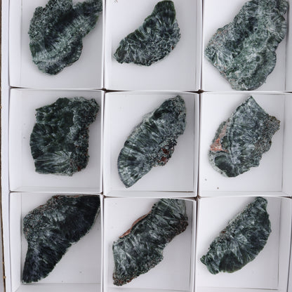 Seraphinite Slices Set of 12 - Expert Wholesale and Supplier of Wholesale Crystals & Bulk Gemstones, ["Seraphinite","Slices and Slabs"]