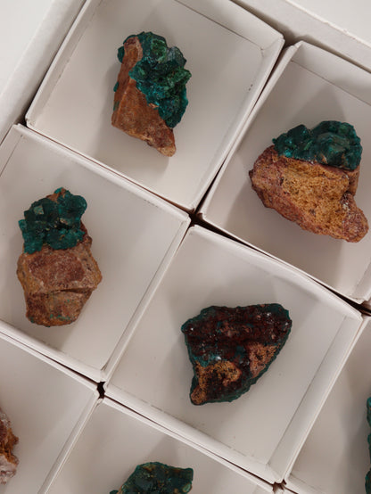 Dioptase Flat Set of 12