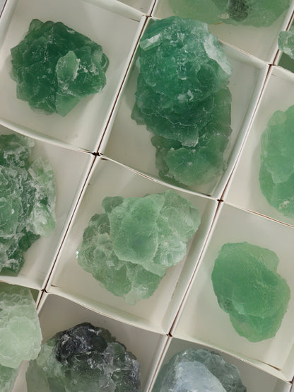 Fluorite Flat Set of 12