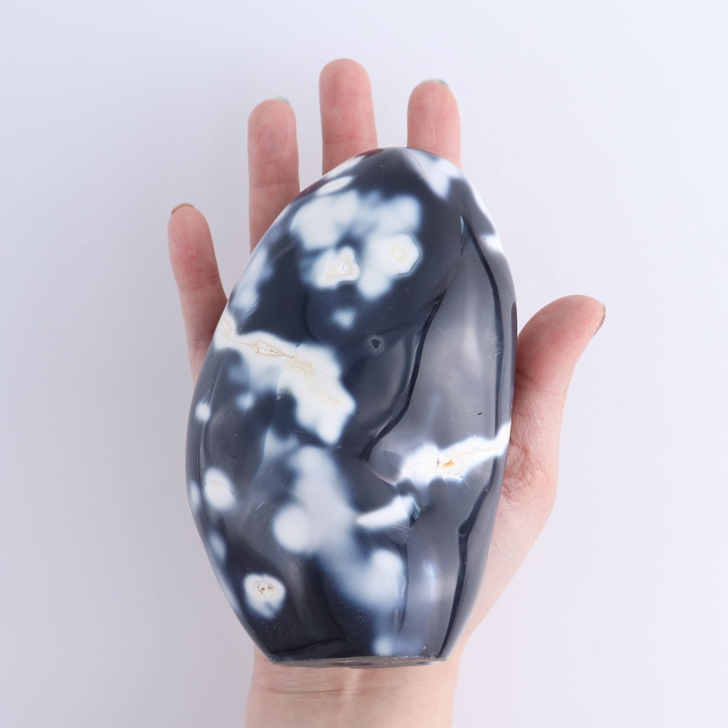Orca Agate Freeform Set of 4