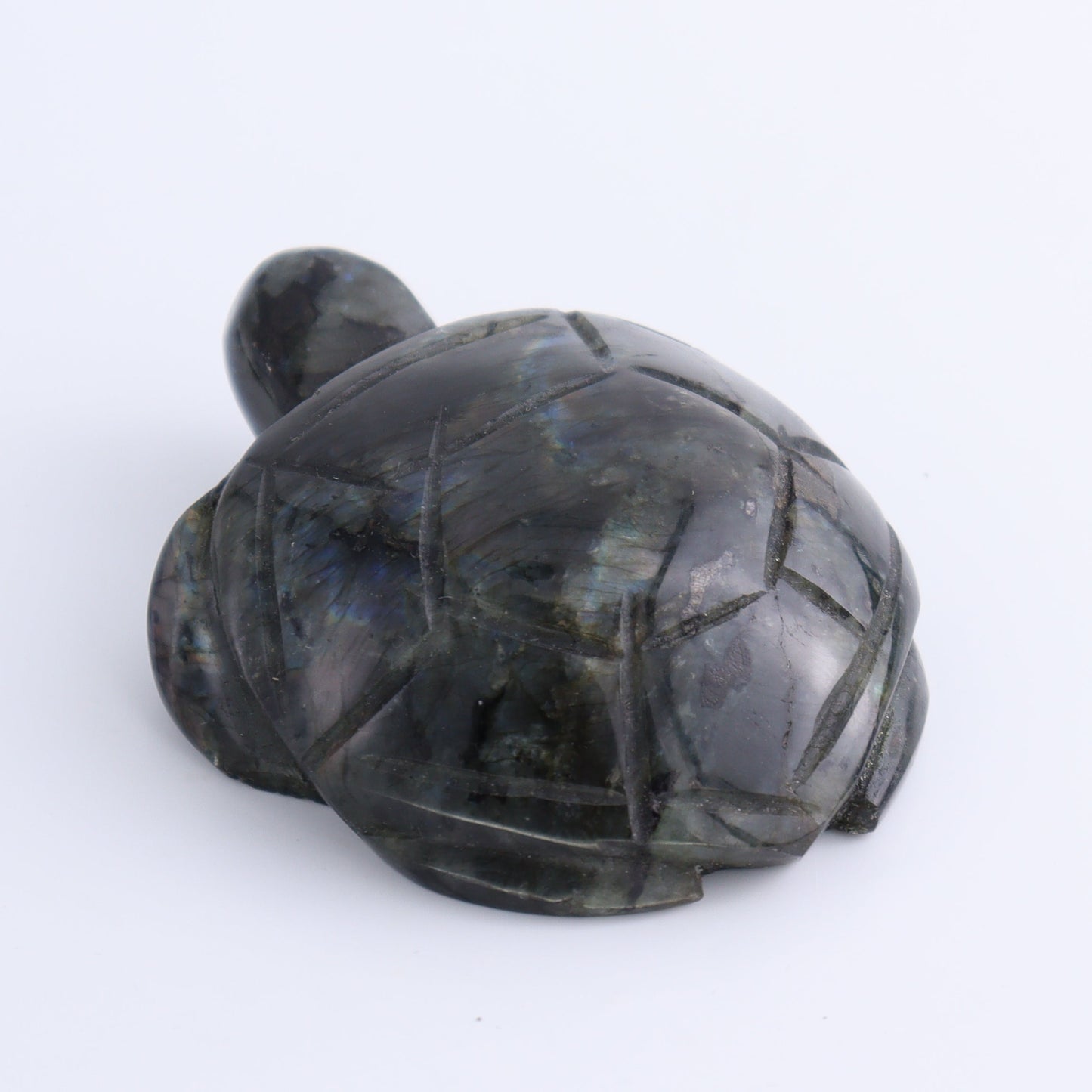 Labradorite Turtles Set of 4 - Expert Wholesale and Supplier of Wholesale Crystals & Bulk Gemstones, ["Labradorite","Madagascar","turtle","Turtles"]