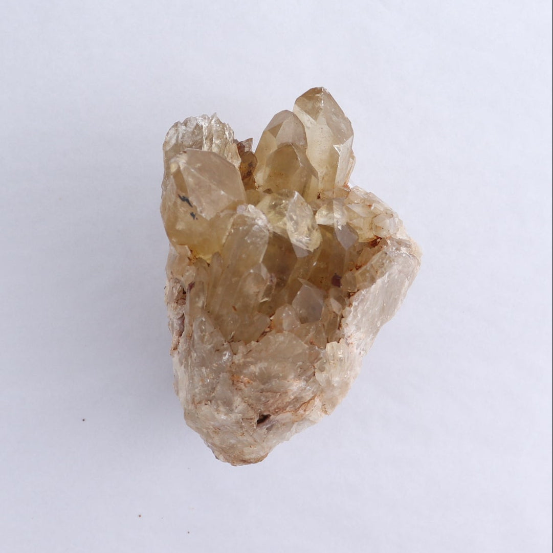 Congo Citrine Set of 6