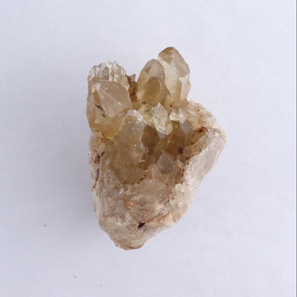 Congo Citrine Set of 6