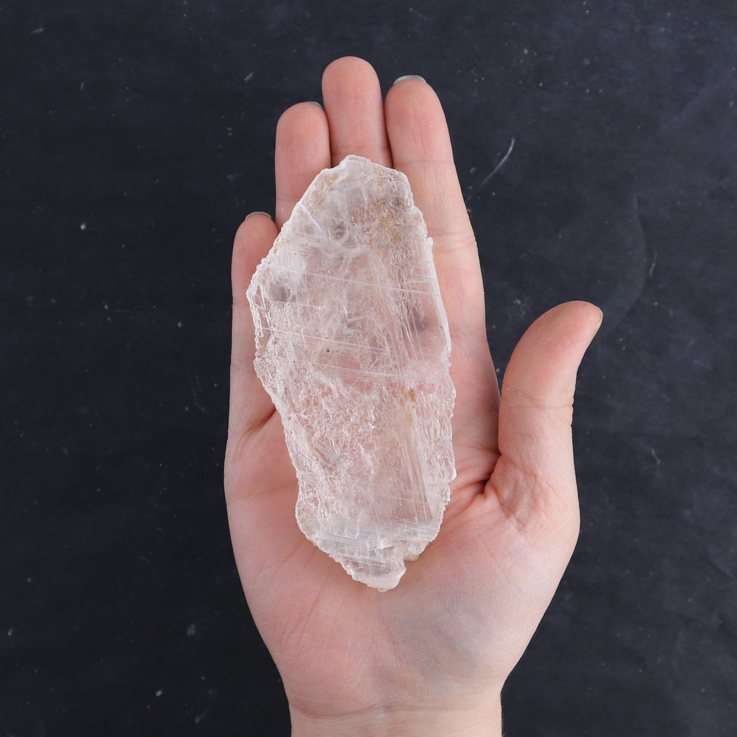 Selenite from Chihuahua Set of 9