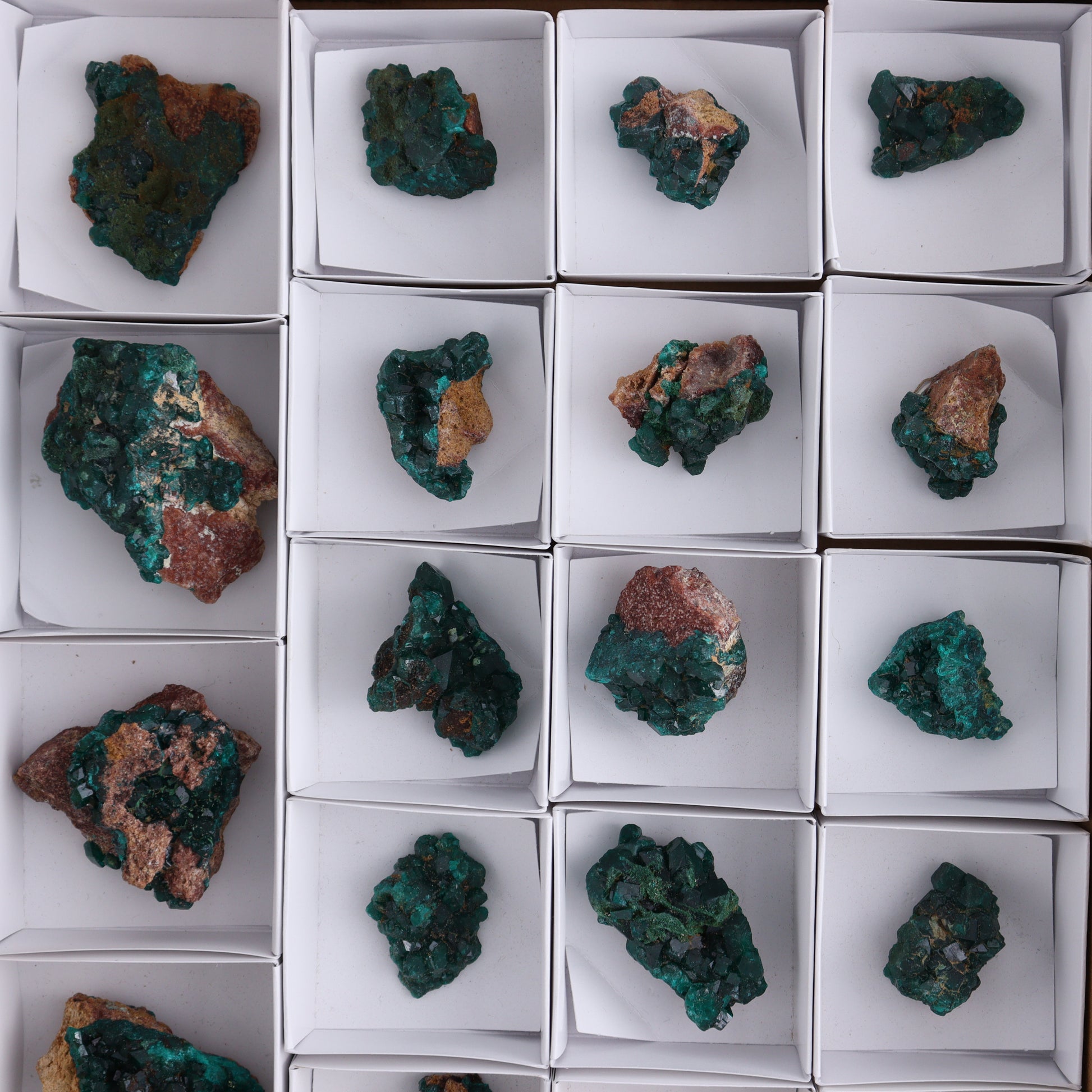Dioptase Set of 19 - Expert Wholesale and Supplier of Wholesale Crystals & Bulk Gemstones, ["dioptase","Freeform","Freeforms"]