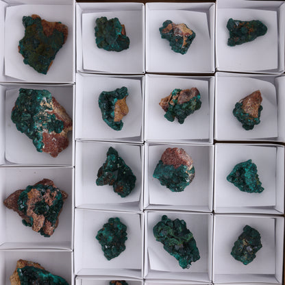 Dioptase Set of 19 - Expert Wholesale and Supplier of Wholesale Crystals & Bulk Gemstones, ["dioptase","Freeform","Freeforms"]