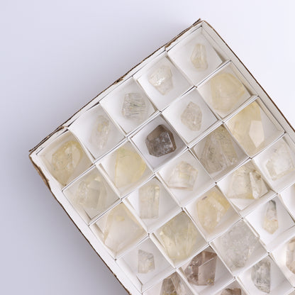 Quartz with Inclusions Feeforms Set of 35