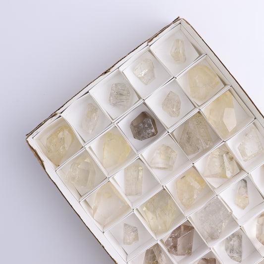 Quartz with Inclusions Feeforms Set of 35