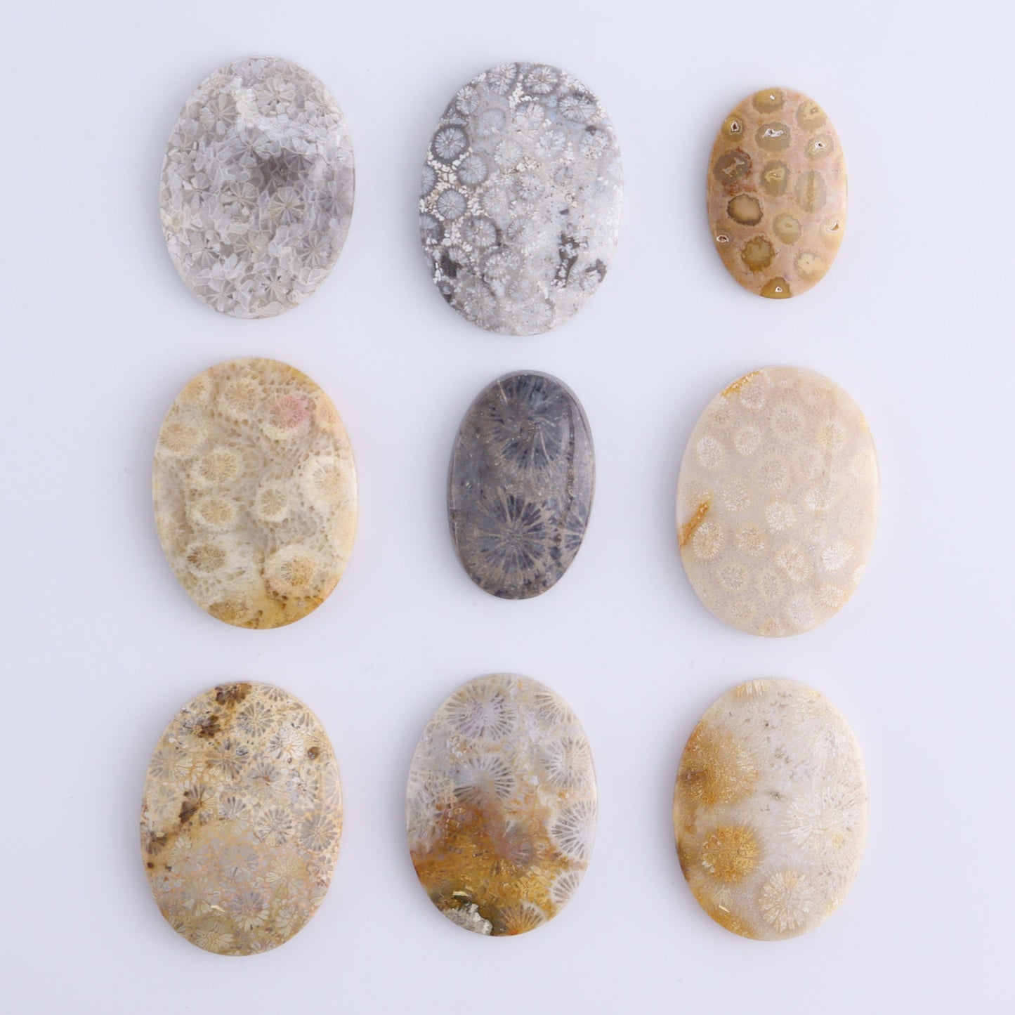 One Fossil Coral Oval Cab - Expert Wholesale and Supplier of Wholesale Crystals & Bulk Gemstones, ["Cabs","fossil coral","Oval"]