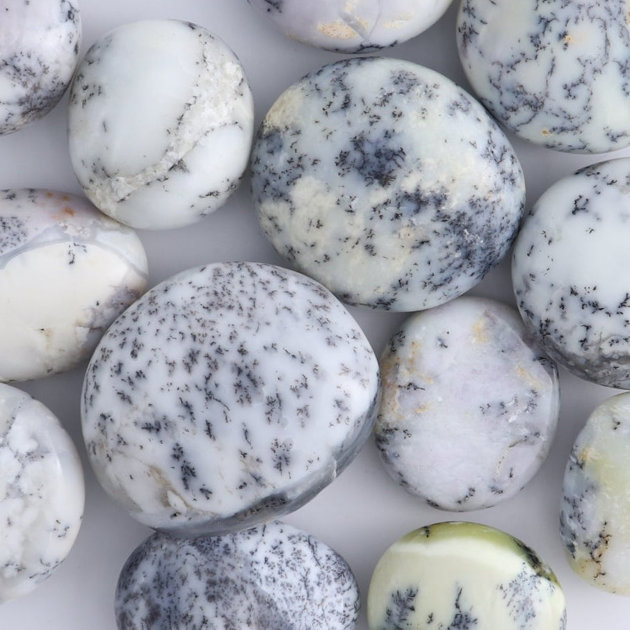 One Denditic Agate Palm Stones 1 kg Set