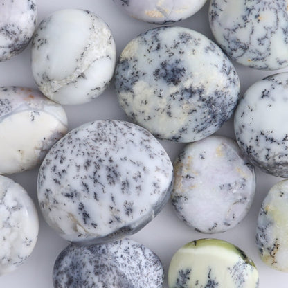 One Denditic Agate Palm Stones 1 kg Set