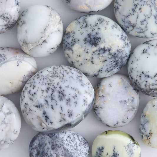 One Denditic Agate Palm Stones 1 kg Set
