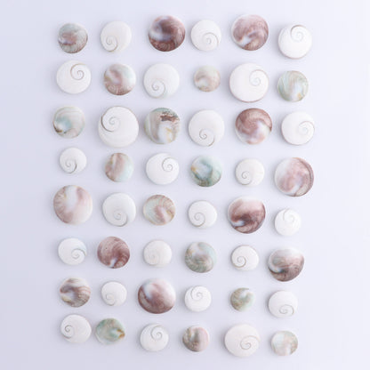 Shiva Shells Polished 1 kg Set - Expert Wholesale and Supplier of Wholesale Crystals & Bulk Gemstones, ["shell","shells","Shiva Shell"]