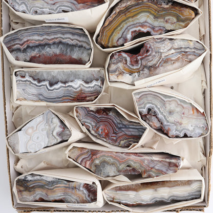 Crazy Lace Agate Flat of 13