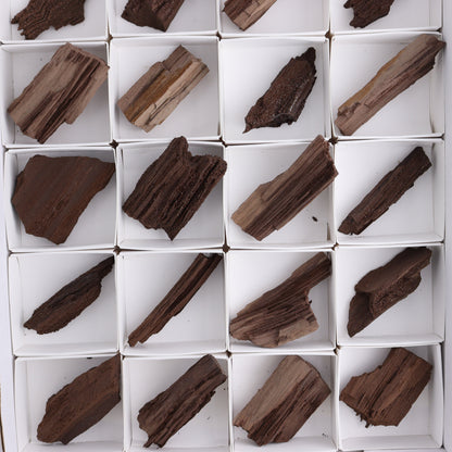 Permineralized Wood Flat of 24 - Expert Wholesale and Supplier of Wholesale Crystals & Bulk Gemstones, ["Flats","Germany","Permineralized Wood"]