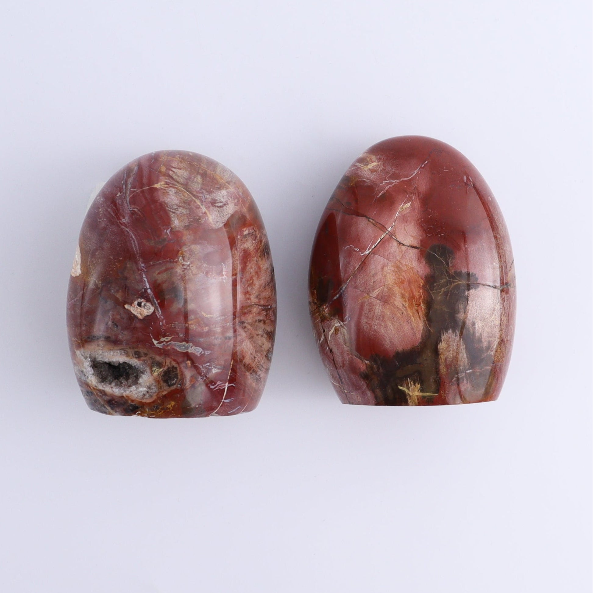 Petrified Wood Freeforms Set of 5 - Expert Wholesale and Supplier of Wholesale Crystals & Bulk Gemstones, ["Freeform","Freeforms","Madagascar","Petrified Wood"]