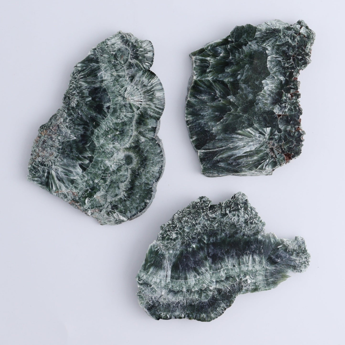 Seraphinite Slices Set of 12 - Expert Wholesale and Supplier of Wholesale Crystals & Bulk Gemstones, ["Seraphinite","Slices and Slabs"]