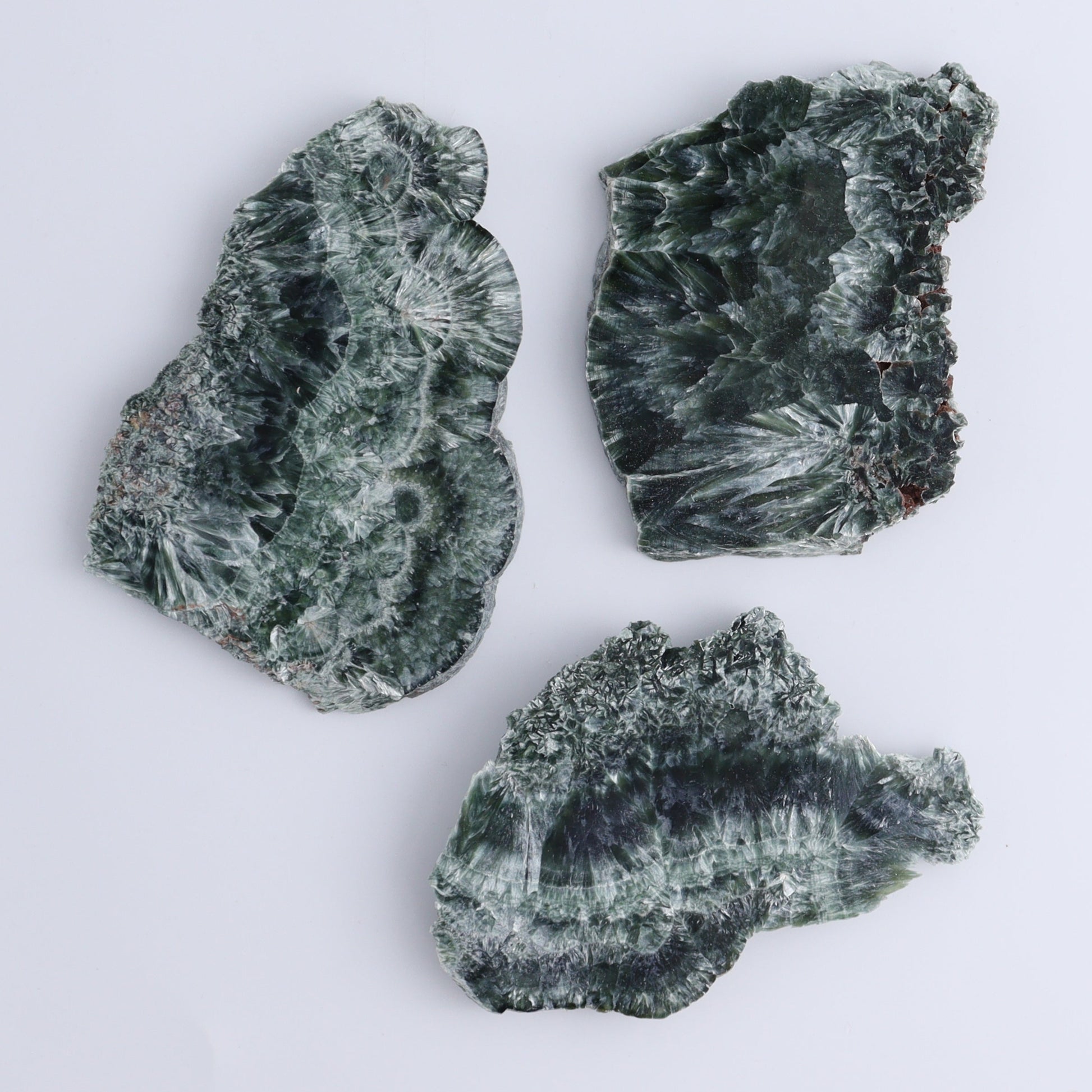 Seraphinite Slices Set of 12 - Expert Wholesale and Supplier of Wholesale Crystals & Bulk Gemstones, ["Seraphinite","Slices and Slabs"]