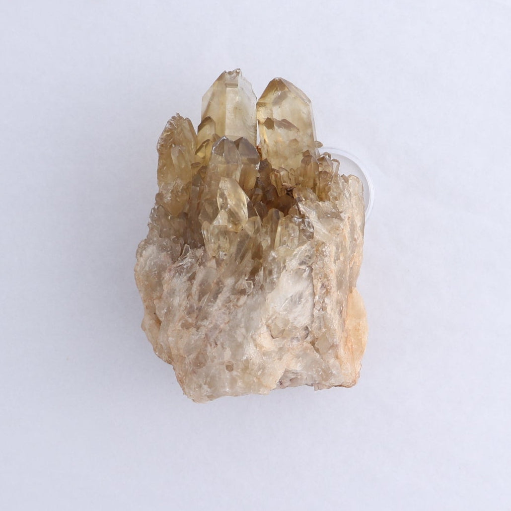 Congo Citrine Set of 6