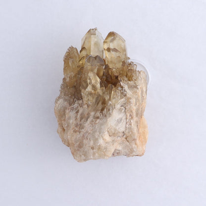 Congo Citrine Set of 6