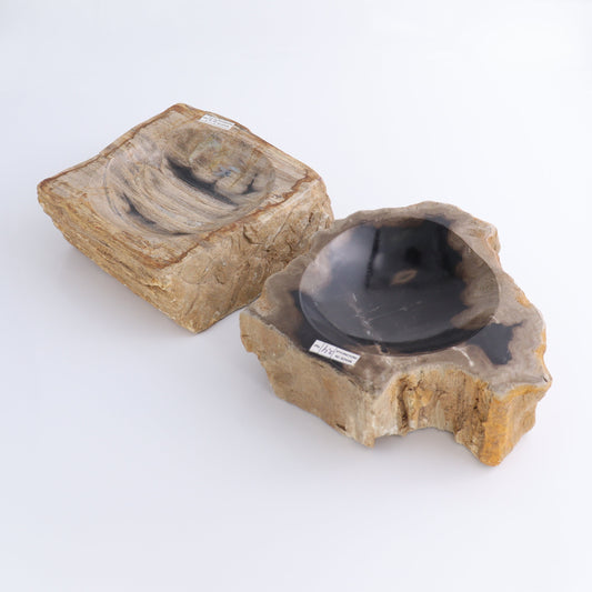 Petrified Wood Bowls Set of 2
