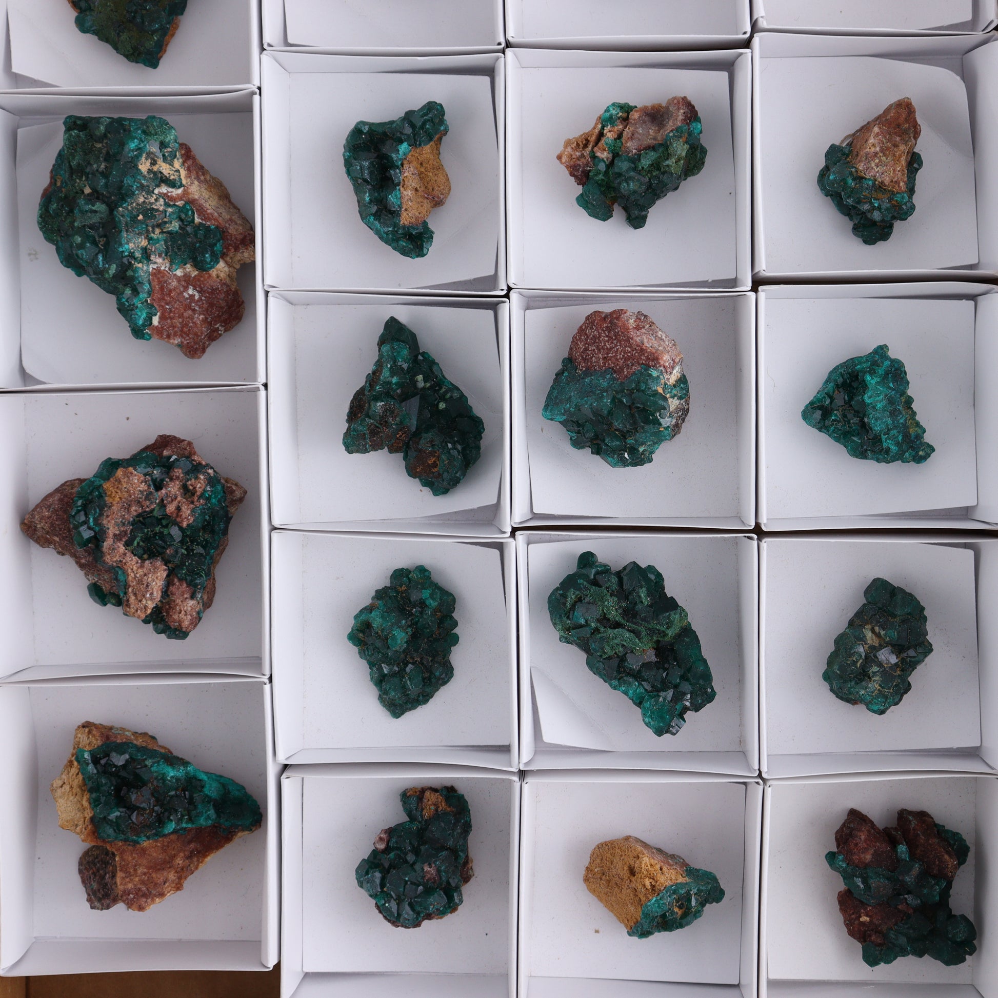 Dioptase Set of 19 - Expert Wholesale and Supplier of Wholesale Crystals & Bulk Gemstones, ["dioptase","Freeform","Freeforms"]