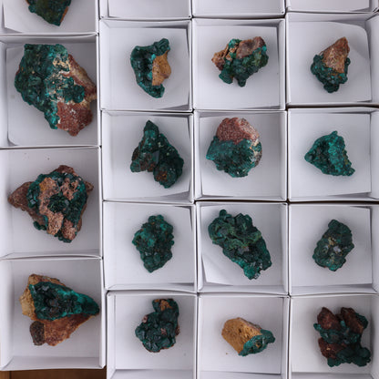 Dioptase Set of 19 - Expert Wholesale and Supplier of Wholesale Crystals & Bulk Gemstones, ["dioptase","Freeform","Freeforms"]