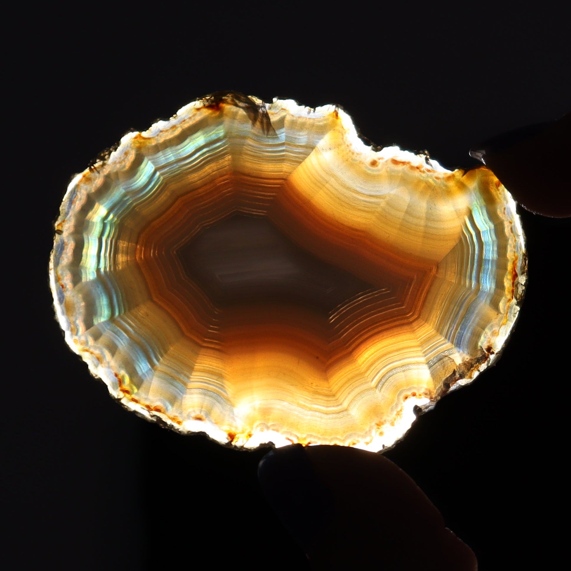 Iris Agate Slices Set of 7 - Expert Wholesale and Supplier of Wholesale Crystals & Bulk Gemstones, ["Agate","Iris Agate","Slices and Slabs"]