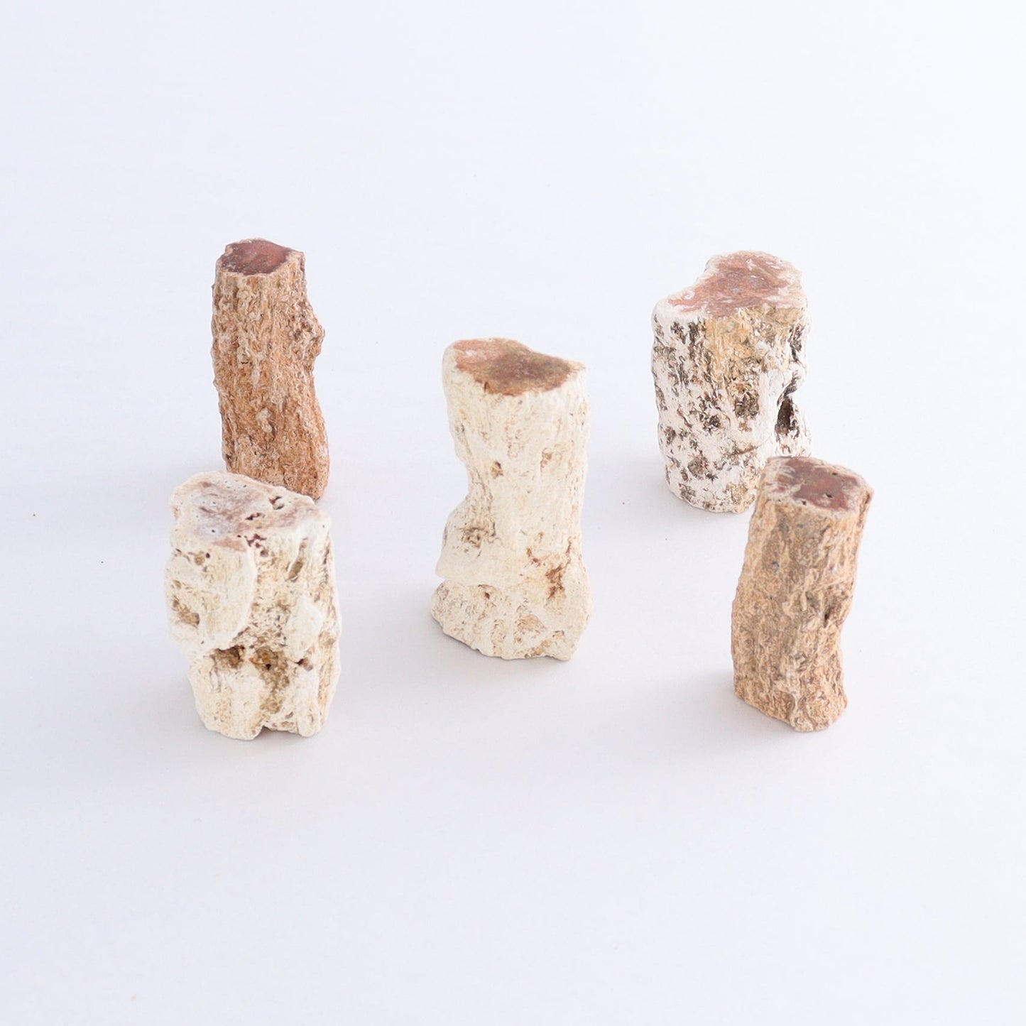 Petrified Wood Cut Bases Set of 20 - Expert Wholesale and Supplier of Wholesale Crystals & Bulk Gemstones, ["Cut Base","Petrified Wood"]