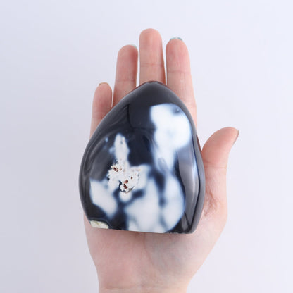 Orca Agate Freeform Set of 4