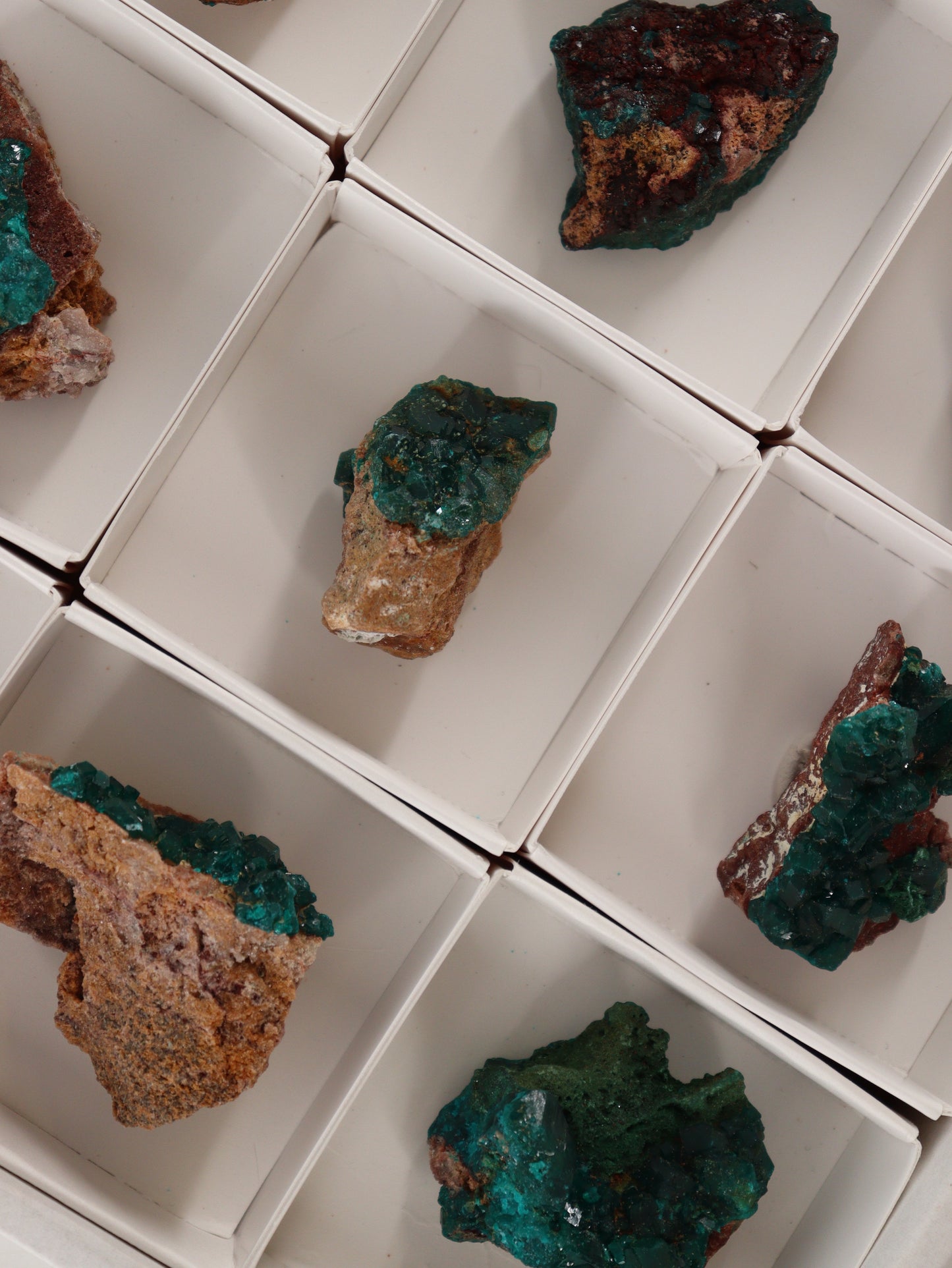 Dioptase Flat Set of 12