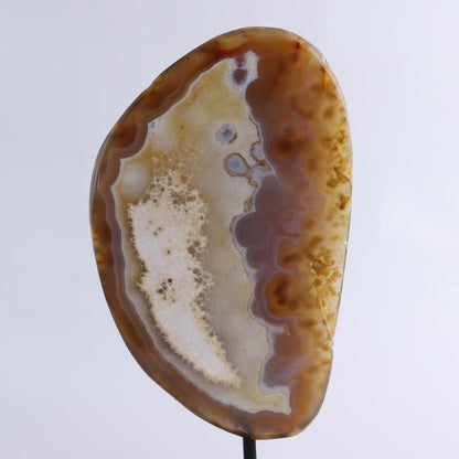 Agate on Pin - Expert Wholesale and Supplier of Wholesale Crystals & Bulk Gemstones, ["Agate","Brazil","close_30","On Pins"]