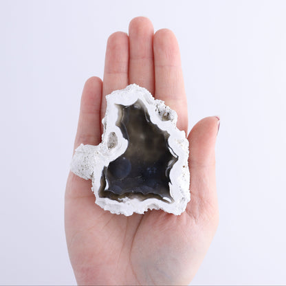 Agatized Coral Flat - Expert Wholesale and Supplier of Wholesale Crystals & Bulk Gemstones, ["Agate","Agatized Coral","Coral","United States"]