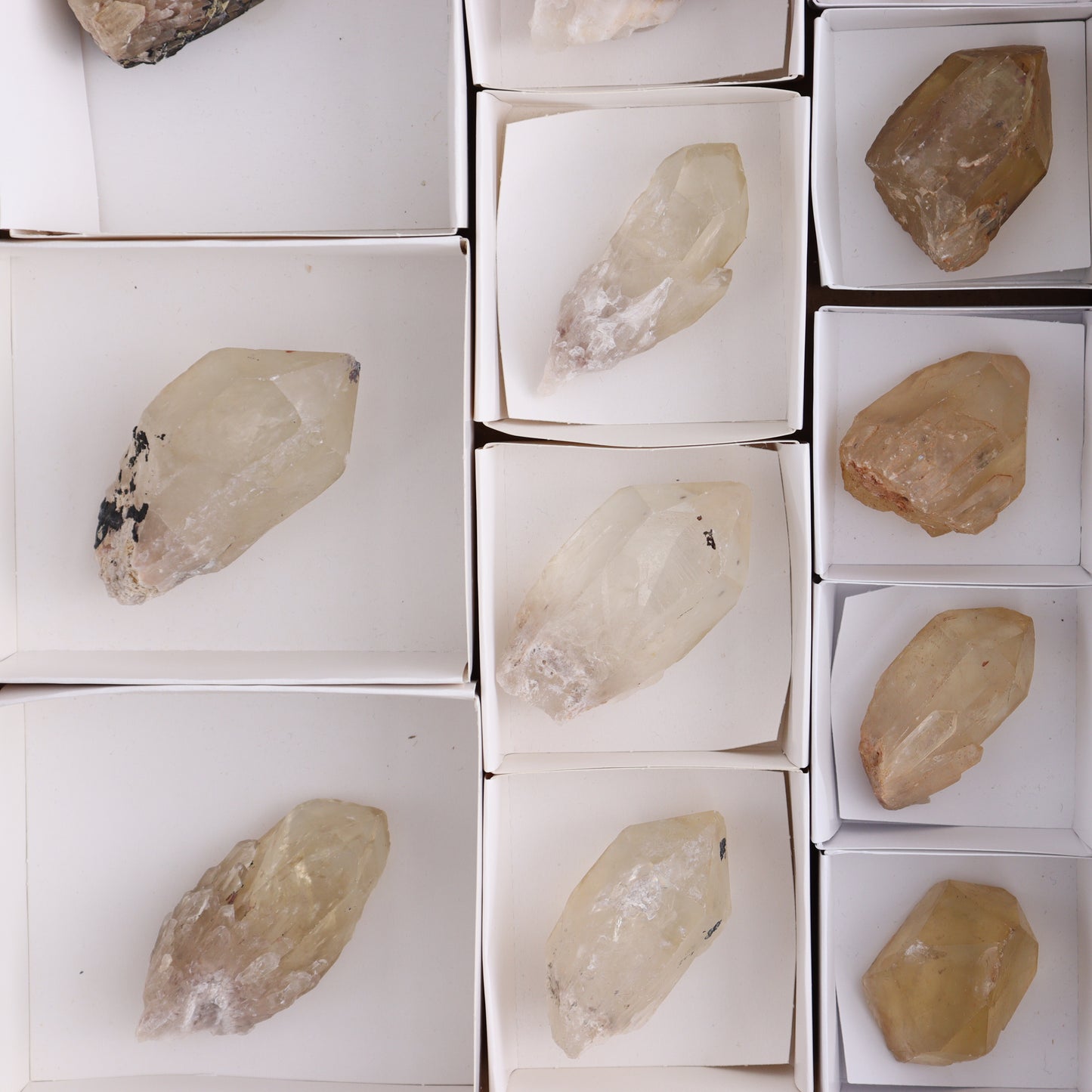 Congo Citrine Set of 12 - Expert Wholesale and Supplier of Wholesale Crystals & Bulk Gemstones, ["Citrine","Congo","Rough","Roughs"]