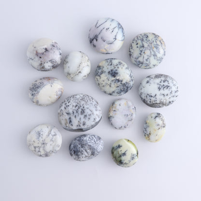 One Denditic Agate Palm Stones 1 kg Set
