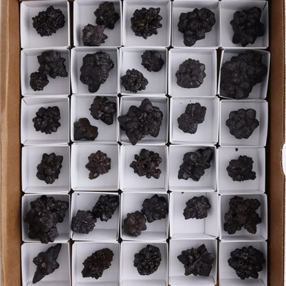 Egyptian Prophecy Stones Flat - Expert Wholesale and Supplier of Wholesale Crystals & Bulk Gemstones, ["Egypt","Freeforms","Prophecy Stone"]