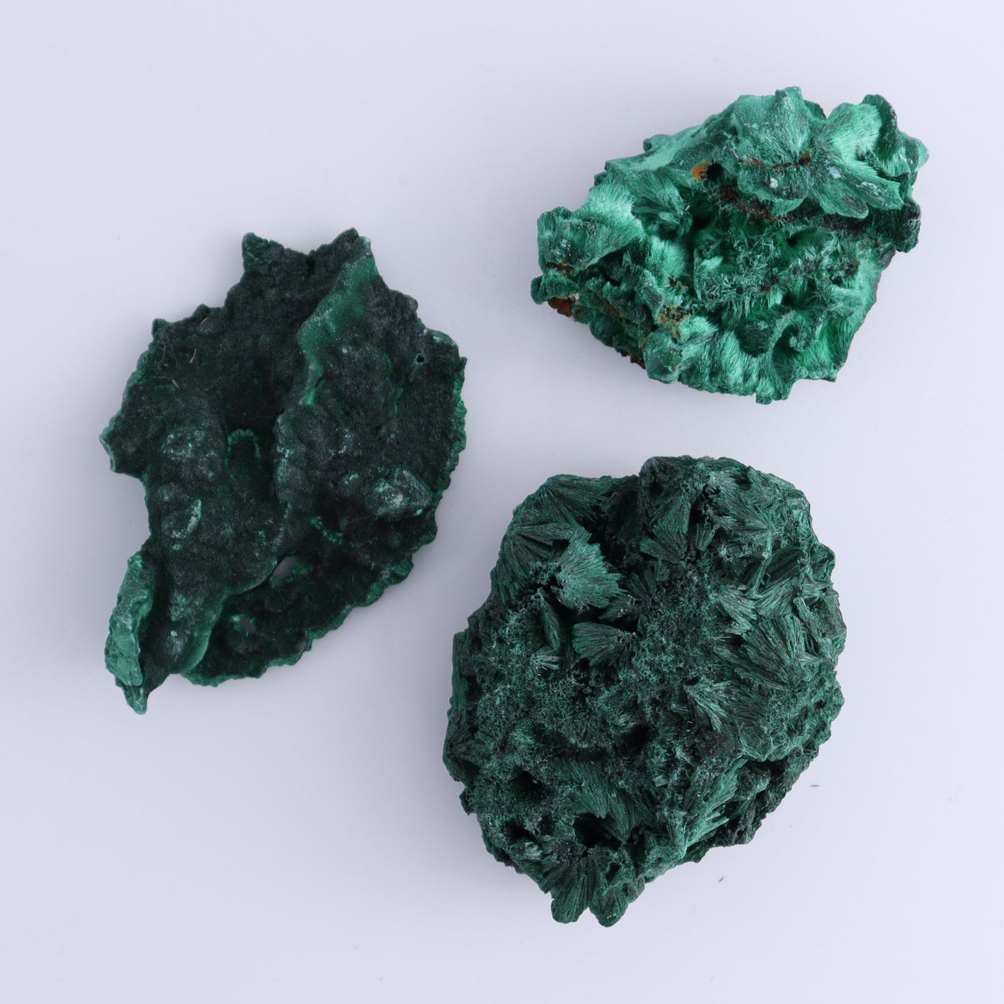 Malachite Freeforms Set of 11 - Expert Wholesale and Supplier of Wholesale Crystals & Bulk Gemstones, ["Freeform","Malachite","South Africa"]