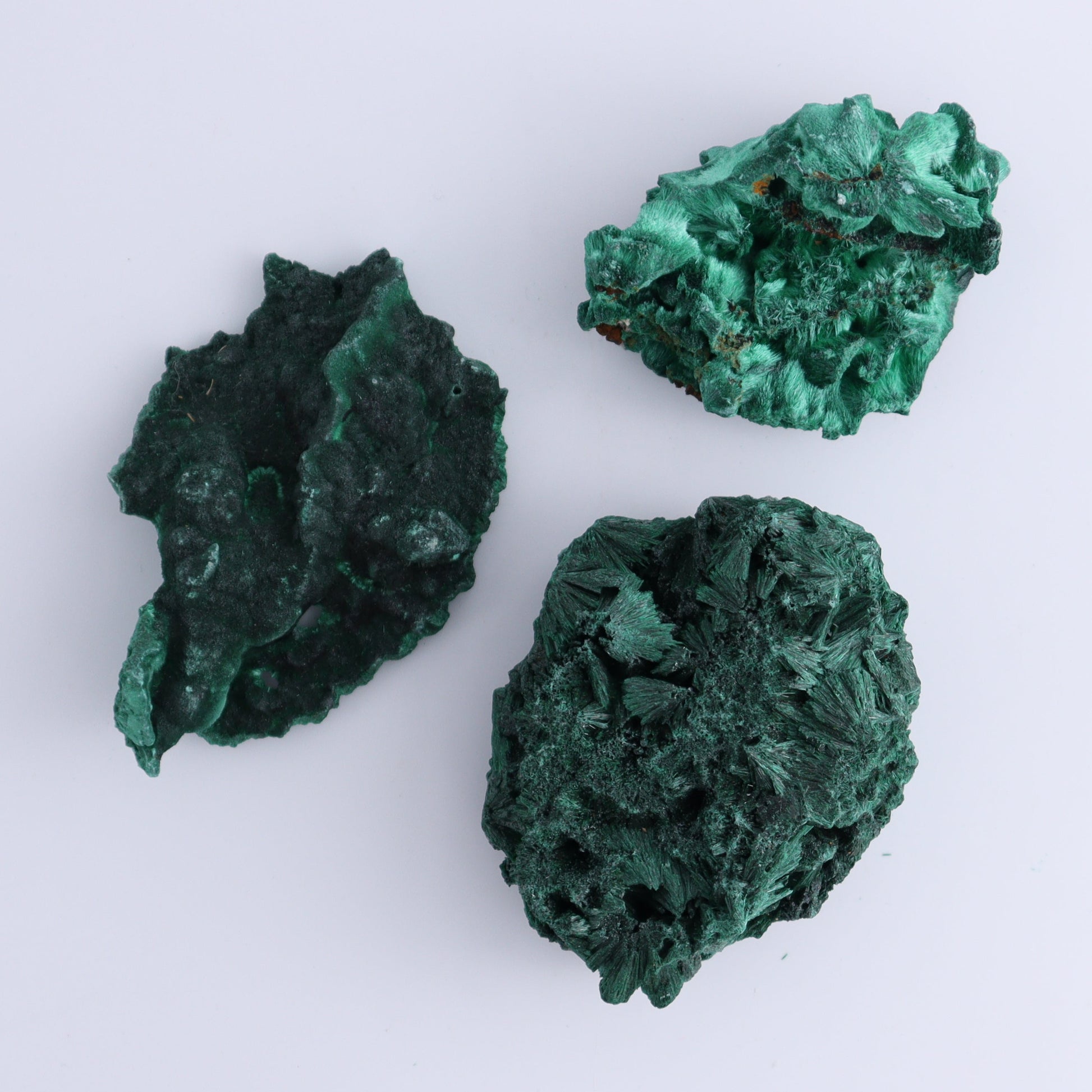Malachite Freeforms Set of 11 - Expert Wholesale and Supplier of Wholesale Crystals & Bulk Gemstones, ["Freeform","Malachite","South Africa"]
