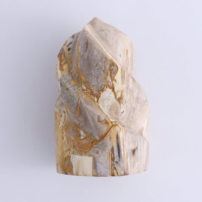 Petrified Wood Flames Set of 4 - Expert Wholesale and Supplier of Wholesale Crystals & Bulk Gemstones, ["Indonesia","Petrified Wood","Spheres"]